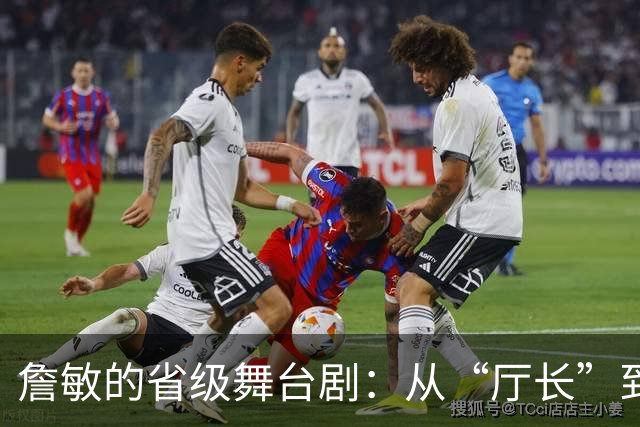 詹敏的省级舞台剧：从“厅长”到“副秘书长”大变身